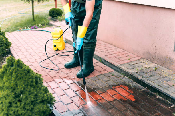 Best Pool Deck Cleaning  in Winter Garden, FL
